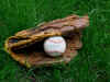 Ball - Glove
